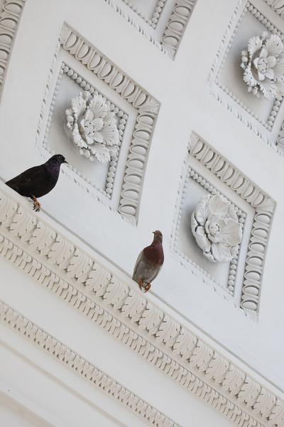 Theseustempel: Maurizio Cattelan (24.4. - 6.10.2019) https://esel.at/termin/101208 | Foto: eSeL Foto: eSeL.at - Lorenz Seidler