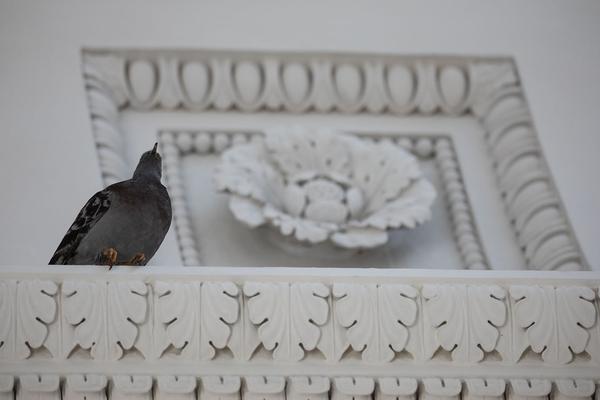 Theseustempel: Maurizio Cattelan (24.4. - 6.10.2019) https://esel.at/termin/101208 | Foto: eSeL Foto: eSeL.at - Lorenz Seidler