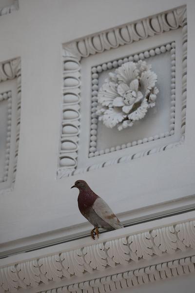 Theseustempel: Maurizio Cattelan (24.4. - 6.10.2019) https://esel.at/termin/101208 | Foto: eSeL Foto: eSeL.at - Lorenz Seidler