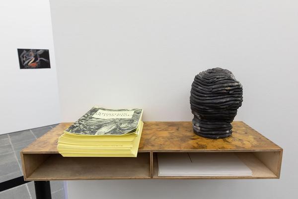 Belvedere 21: Über das Neue - Midissage: One Mess Gallery, PFERD & SORT (22.3.2019) | https://esel.cc/UeberDasNeue_Midissage01 | Foto: eSeL Foto: eSeL.at - Lorenz Seidler