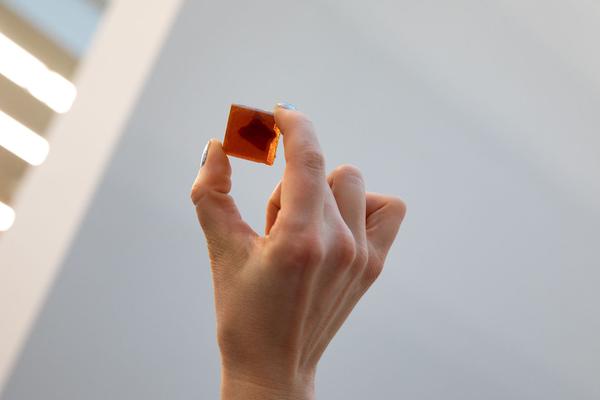 Belvedere 21: Über das Neue - Midissage: One Mess Gallery, PFERD & SORT (22.3.2019) | https://esel.cc/UeberDasNeue_Midissage01 | Foto: eSeL Foto: eSeL.at - Lorenz Seidler