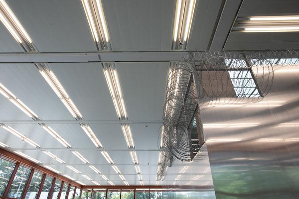 Belvedere 21: Monika Bonvincini - I cannot hide my anger (28.6. - 27.10.2019) https://esel.at/termin/100139 | Foto: eSeL Foto: eSeL.at - Lorenz Seidler