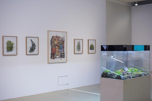 Kunstraum Niederösterreich: Nature - nature (Eröffnung, 7.6.2019) http://www.kunstraum.net/en/Exhibitions/nature-nature | Foto: eSeL - Joanna Pianka