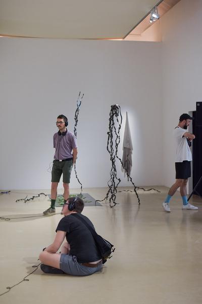 Kunstraum Niederösterreich: Nature - nature (Eröffnung, 7.6.2019) http://www.kunstraum.net/en/Exhibitions/nature-nature | Foto: eSeL - Joanna Pianka