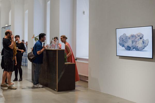 Kunstraum Niederösterreich: Nature - nature (Eröffnung, 7.6.2019) http://www.kunstraum.net/en/Exhibitions/nature-nature | Foto: eSeL - Joanna Pianka
