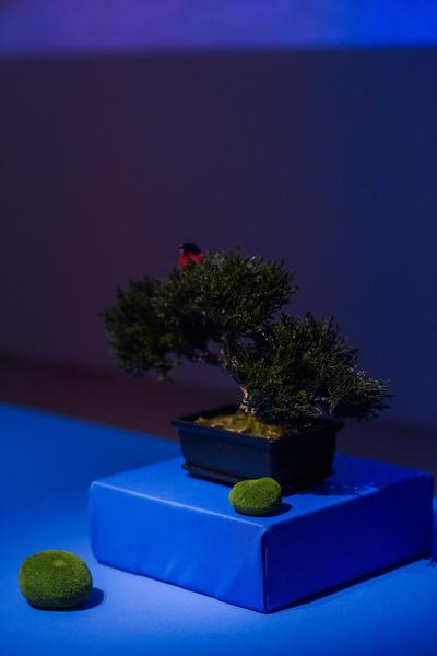 Kunstraum Niederösterreich: Nature - nature (Eröffnung, 7.6.2019) http://www.kunstraum.net/en/Exhibitions/nature-nature | Foto: eSeL - Joanna Pianka