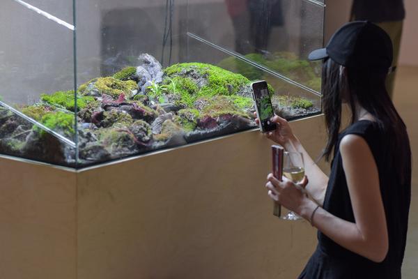 Kunstraum Niederösterreich: Nature - nature (Eröffnung, 7.6.2019) http://www.kunstraum.net/en/Exhibitions/nature-nature | Foto: eSeL - Joanna Pianka