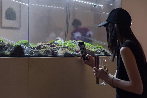 Kunstraum Niederösterreich: Nature - nature (Eröffnung, 7.6.2019) http://www.kunstraum.net/en/Exhibitions/nature-nature | Foto: eSeL - Joanna Pianka