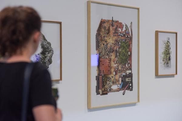 Kunstraum Niederösterreich: Nature - nature (Eröffnung, 7.6.2019) http://www.kunstraum.net/en/Exhibitions/nature-nature | Foto: eSeL - Joanna Pianka
