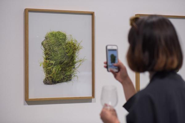 Kunstraum Niederösterreich: Nature - nature (Eröffnung, 7.6.2019) http://www.kunstraum.net/en/Exhibitions/nature-nature | Foto: eSeL - Joanna Pianka