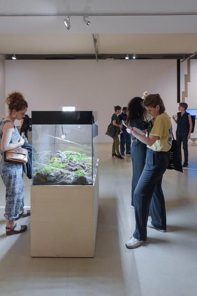 Kunstraum Niederösterreich: Nature - nature (Eröffnung, 7.6.2019) http://www.kunstraum.net/en/Exhibitions/nature-nature | Foto: eSeL - Joanna Pianka