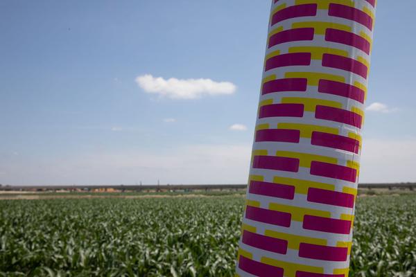Notgalerie: Kunstland Nord - Main Opening (seit 21.6.2019) https://esel.at/termin/102093 | Foto: eSeL Foto: eSeL.at - Lorenz Seidler