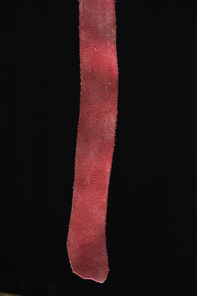 Akademie der bildenden Künste Wien: PAT PAT PAT. A Romance with (Im)material (Semperdepot, 18.10.2019) https://esel.at/termin/103327 | Foto: eSeL.at - Joanna Pianka