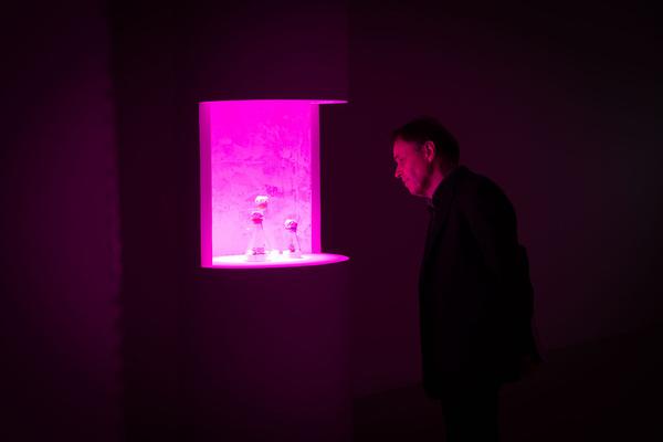 mumok: Christian Kosmas Mayer - Aeviternity (23.2. - 16.6.2019)  https://www.mumok.at/de/events/christian-kosmas-mayer | Foto: eSeL Foto: eSeL.at - Lorenz Seidler
