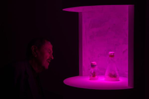 mumok: Christian Kosmas Mayer - Aeviternity (23.2. - 16.6.2019)  https://www.mumok.at/de/events/christian-kosmas-mayer | Foto: eSeL Foto: eSeL.at - Lorenz Seidler