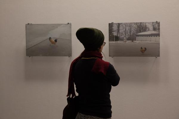  Foto: eSeL.at - Lorenz Seidler
