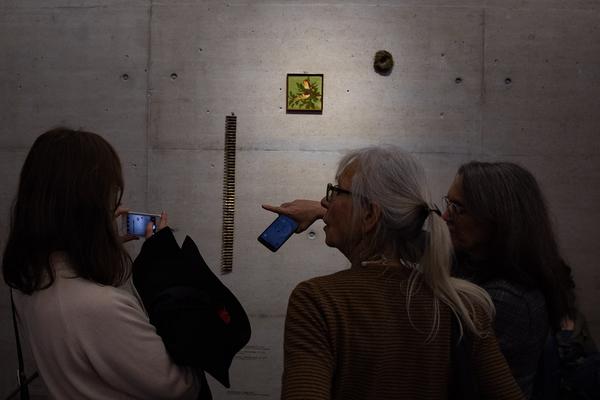  Foto: eSeL.at - Lorenz Seidler