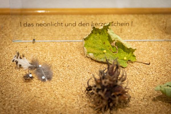  Foto: eSeL.at - Lorenz Seidler