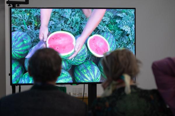 Belvedere 21: Gemeinsame Wagnisse "Nebenerwerb" (12.10.2019) https://www.belvedere.at/public-program-nebenerwerb | Foto: eSeL Foto: eSeL.at - Lorenz Seidler
