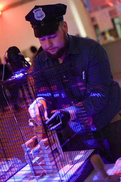 Roboexotica 2019. Festival for Cocktailrobotic (28.11. - 1.12.2019) https://esel.at/termin/103954 | Foto: eSeL.at - Joanna Pianka Foto: eSeL.at - Joanna Pianka