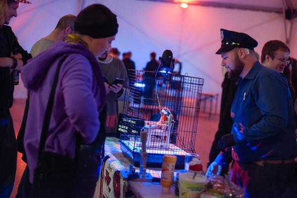 Roboexotica 2019. Festival for Cocktailrobotic (28.11. - 1.12.2019) https://esel.at/termin/103954 | Foto: eSeL.at - Joanna Pianka Foto: eSeL.at - Joanna Pianka