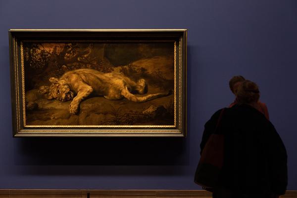 Albertina: Rubens bis Makart. Die Fürstlichen Sammlungen Liechtenstein (Pressekonferenz) https://www.albertina.at/ausstellungen/die-fuerstlichen-sammlungen-liechtenstein | Foto: eSeL Foto: eSeL.at - Lorenz Seidler