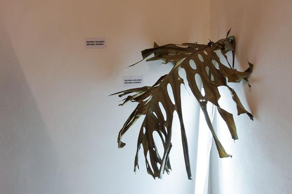 Akademie der Bild. Künste Wien: Rundgang 2019 - Wodka Brunch & Bildhauer-Ateliers (Kurzbauergasse, 27.1.2019) https://esel.cc/rundgang2019 | Foto: eSeL.at - Joanna Pianka