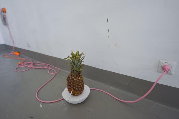 Akademie der Bild. Künste Wien: Rundgang 2019 - Wodka Brunch & Bildhauer-Ateliers (Kurzbauergasse, 27.1.2019) https://esel.cc/rundgang2019 | Foto: eSeL.at - Joanna Pianka