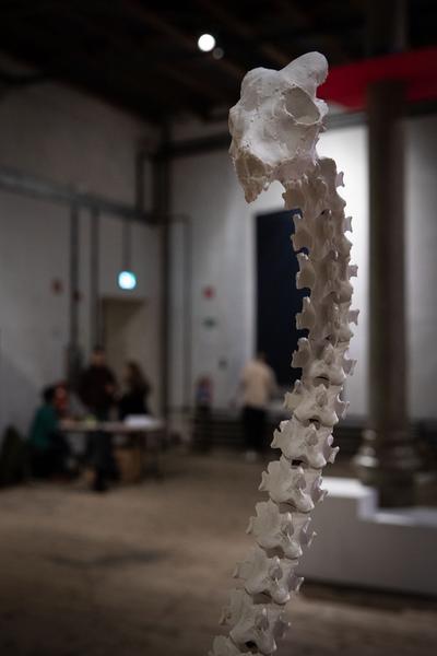 Akademie der Bild. Künste Wien: Rundgang 2019 - Semperdepot / Lehargasse (25.1.2019) https://esel.cc/rundgang2019 | Foto: eSeL Foto: eSeL.at - Lorenz Seidler