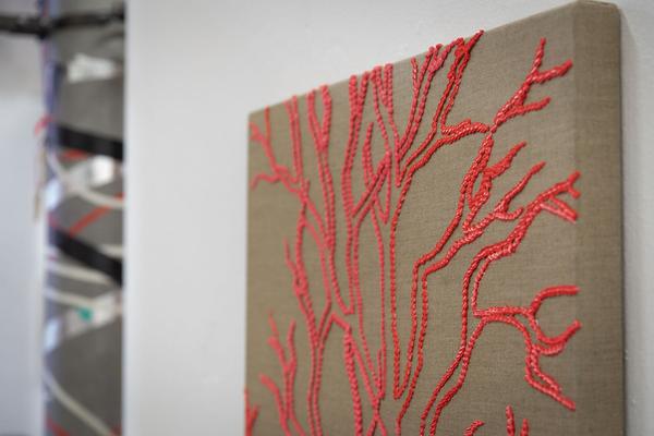 Akademie der Bild. Künste Wien: Rundgang 2019 - Semperdepot / Lehargasse (25.1.2019) https://esel.cc/rundgang2019 | Foto: eSeL Foto: eSeL.at - Lorenz Seidler