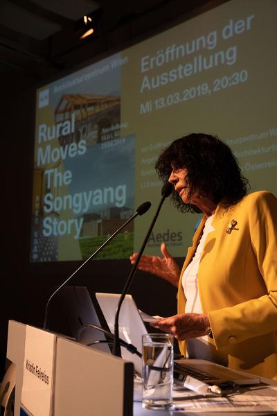 Architekturzentrum Wien: Rural Moves - The Song­yang Story (14.03. – 23.04.2019) https://www.azw.at/de/termin/rural-moves-the-songyang-story | Foto: eSeL Foto: eSeL.at - Lorenz Seidler