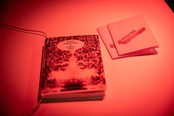 Belvedere 21: Gemeinsame Wagnisse - Queering the Museum: Sabine Marte (7.6.2019) https://www.belvedere21.at/kalender21&et=ET000084824 | Foto: eSeL Foto: eSeL.at - Lorenz Seidler