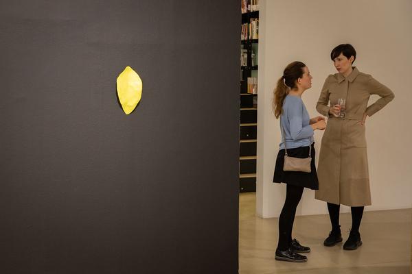 Kunstraum Niederösterreich: TechnoCare Eröffnung (05.04. – 15.05.2019) http://www.kunstraum.net/de/ausstellungen/79-technocare | Foto: eSeL Foto: eSeL.at - Lorenz Seidler