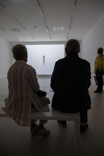 Kunsthalle Krems: Land Art (14.7.2019 - 3.11.2019, Presseführung) https://www.kunsthalle.at/de/ausstellungen/15-land-art | Foto: eSeL Foto: eSeL.at - Lorenz Seidler