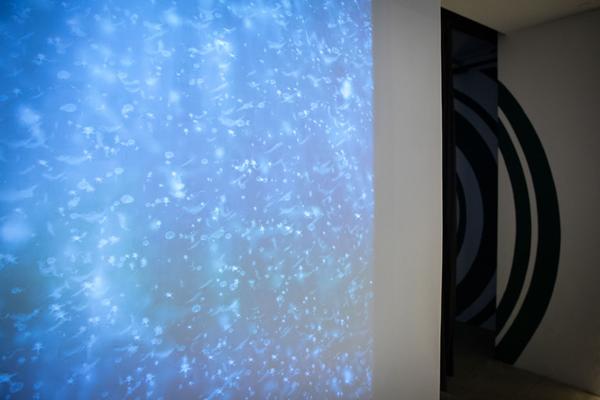 VIENNA BIENNALE 2019: Noise Aquarium (29.5. - 27.09..2019, Pressekonferenz) http://www.viennabiennale.org | http://www.ailab.at/upcoming/change-was-our-only-chance | Foto: eSeL Foto: eSeL.at - Lorenz Seidler