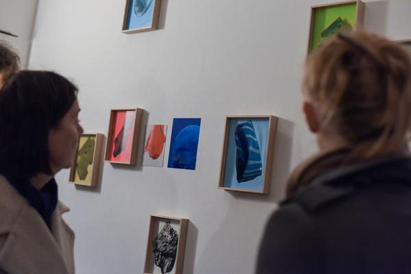 Vienna Art Week: Wild Spoerri Rosenstein (Akademie der bild. Kunst Wien @ Hotel am Brillantengrund, 19.11. - 25.11.2019) https://esel.cc/akbild_SpoerriRosenstein | Foto: Joanna Pianka Foto: Joanna Pianka