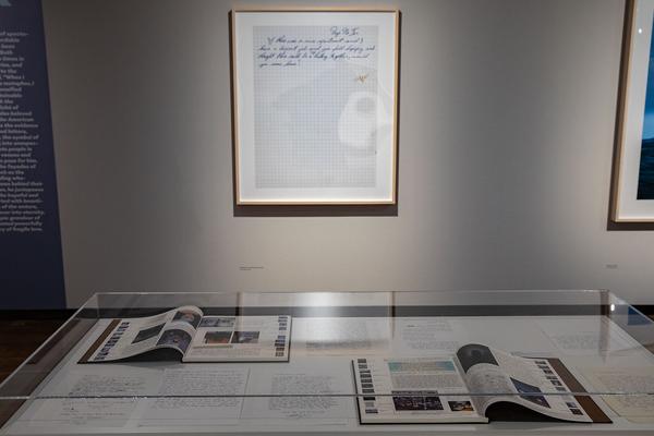 Kunst Haus Wien: Alec Soth. Photography is a Language (26.2. - 10.8.2020, Eröffnung: mi 26.2. - 19h) https://esel.at/termin/104510 | Foto: eSeL Foto: eSeL.at - Lorenz Seidler