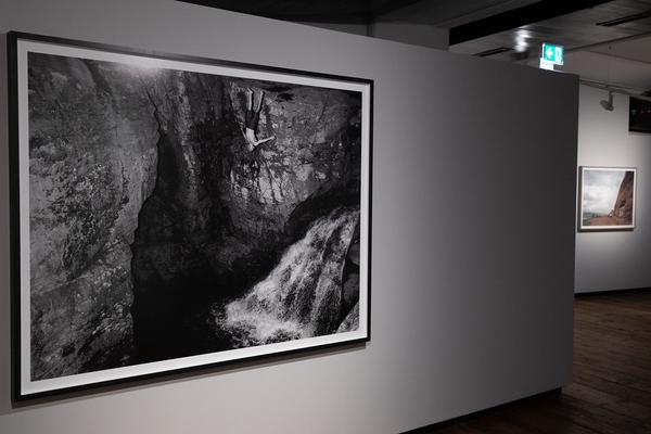 Kunst Haus Wien: Alec Soth. Photography is a Language (26.2. - 10.8.2020, Eröffnung: mi 26.2. - 19h) https://esel.at/termin/104510 | Foto: eSeL Foto: eSeL.at - Lorenz Seidler
