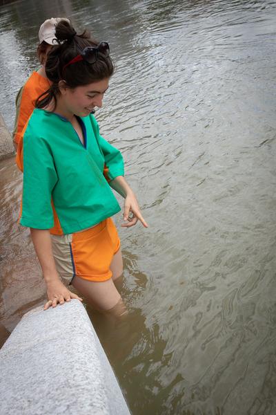 Angewandte Festival 2020: Schwimmverein Donaukanal (23.6.2020) https://schwimmvereindonaukanal.org | Foto: eSeL Foto: eSeL.at - Lorenz Seidler