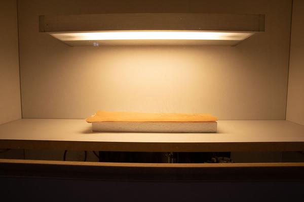 Künstlerhaus k/haus: Kulturpolitische Diskussion - COVID-19 and beyond (24.6.2020) https://esel.at/termin/106090 | Foto: eSeL Foto: eSeL.at - Lorenz Seidler