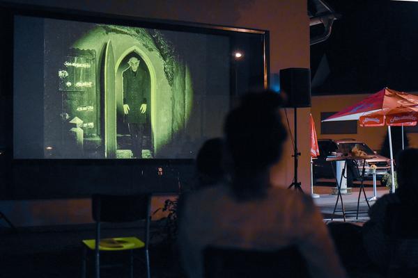 Kunst im öffentlichen Raum Niedersterreich: Blicke und Bewegungen: Innen und Außen - Nosferatu (21.8.2020) https://esel.at/termin/106189 | Foto: Joanna Pianka Foto: Joanna Pianka