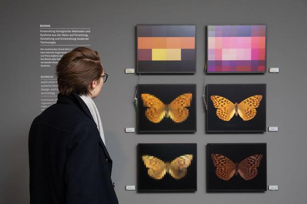 Kunst Haus Wien / Garage: Claudius Schulze (30.01.-13.04.2020) https://www.kunsthauswien.com/de/ausstellungen/claudius-schulze | Foto: eSeL Foto: eSeL.at - Lorenz Seidler