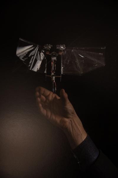 Kunst Haus Wien / Garage: Claudius Schulze (30.01.-13.04.2020) https://www.kunsthauswien.com/de/ausstellungen/claudius-schulze | Foto: eSeL Foto: eSeL.at - Lorenz Seidler