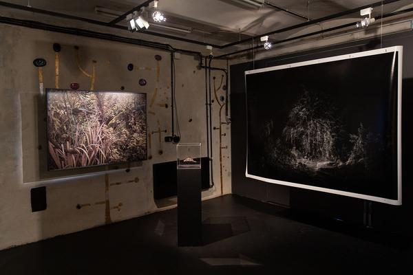 Kunst Haus Wien / Garage: Claudius Schulze (30.01.-13.04.2020) https://www.kunsthauswien.com/de/ausstellungen/claudius-schulze | Foto: eSeL Foto: eSeL.at - Lorenz Seidler