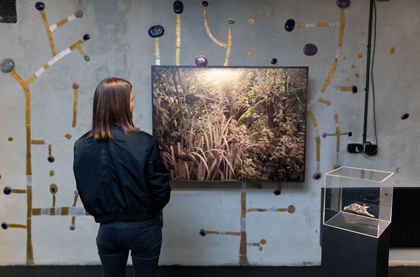 Kunst Haus Wien / Garage: Claudius Schulze (30.01.-13.04.2020) https://www.kunsthauswien.com/de/ausstellungen/claudius-schulze | Foto: eSeL Foto: eSeL.at - Lorenz Seidler