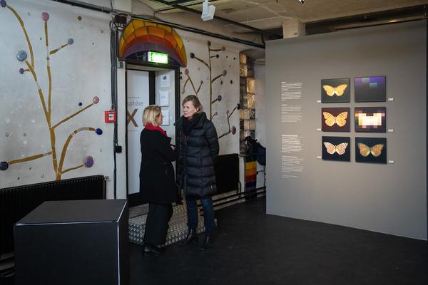 Kunst Haus Wien / Garage: Claudius Schulze (30.01.-13.04.2020) https://www.kunsthauswien.com/de/ausstellungen/claudius-schulze | Foto: eSeL Foto: eSeL.at - Lorenz Seidler