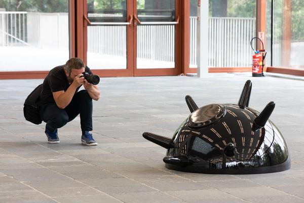 Belvedere 21: Community Outreach: Anita Fuchs: Spaziergangs Ruderalflora mit  Ernst Vitek & Skulpturengarten feat. Marlene Hausegger (16.7.2020)  https://esel.at/termin/106181 | Foto: eSeL Foto: eSeL.at - Lorenz Seidler