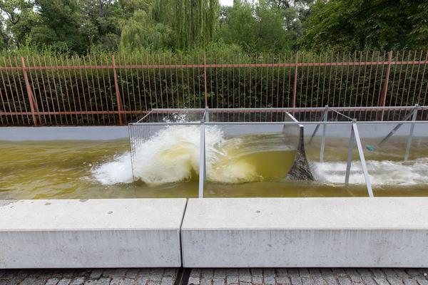 Belvedere 21: Community Outreach: Anita Fuchs: Spaziergangs Ruderalflora mit  Ernst Vitek & Skulpturengarten feat. Marlene Hausegger (16.7.2020)  https://esel.at/termin/106181 | Foto: eSeL Foto: eSeL.at - Lorenz Seidler