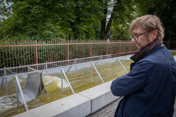 Belvedere 21: Community Outreach: Anita Fuchs: Spaziergangs Ruderalflora mit  Ernst Vitek & Skulpturengarten feat. Marlene Hausegger (16.7.2020)  https://esel.at/termin/106181 | Foto: eSeL Foto: eSeL.at - Lorenz Seidler
