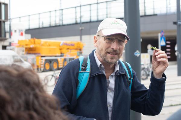 Belvedere 21: Community Outreach: Marlene Hausegger & Anita Fuchs: Spaziergangs Ruderalflora mit  Ernst Vitek. (16.7.2020)  https://esel.at/termin/106181 | Foto: eSeL Foto: eSeL.at - Lorenz Seidler